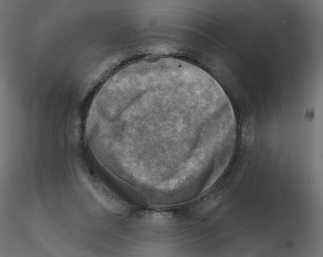 X0000116550304200912311917