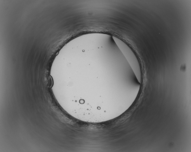 X0000116550305200912311917