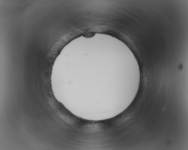 X0000116550307200912311917