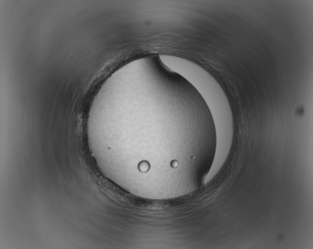 X0000116550308200912311917