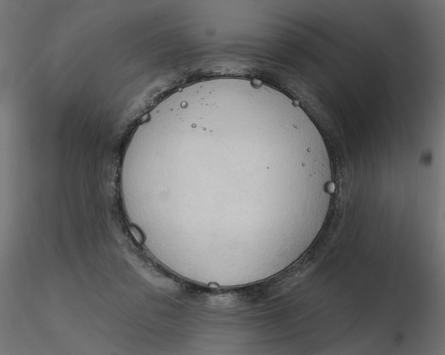 X0000116550309200912311917