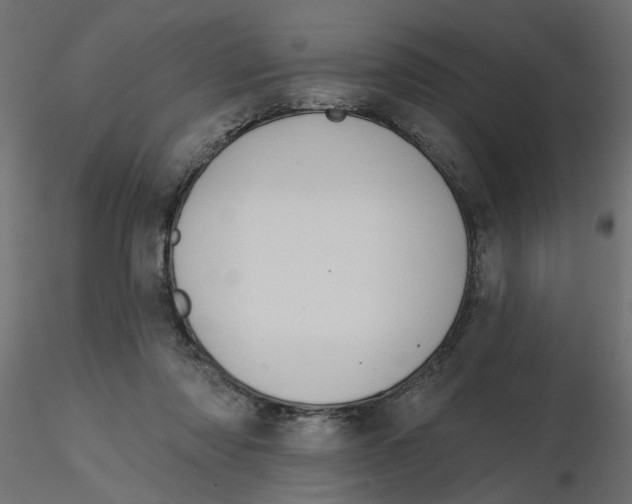 X0000116550310200912311917