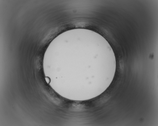 X0000116550311200912311917