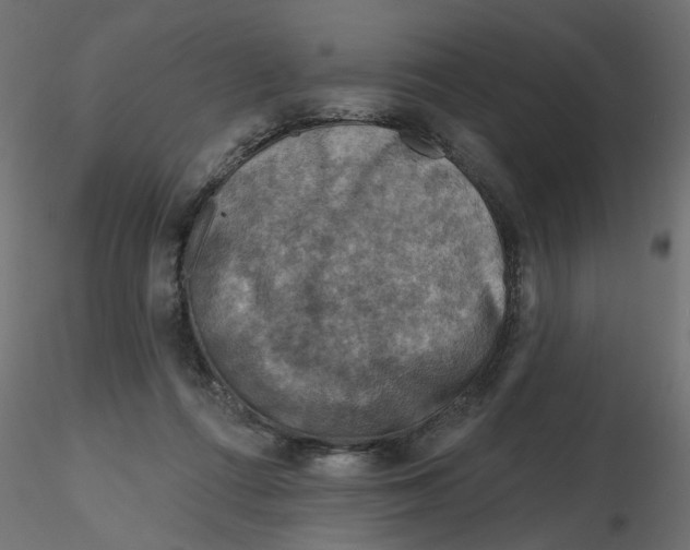 X0000116550312200912311917