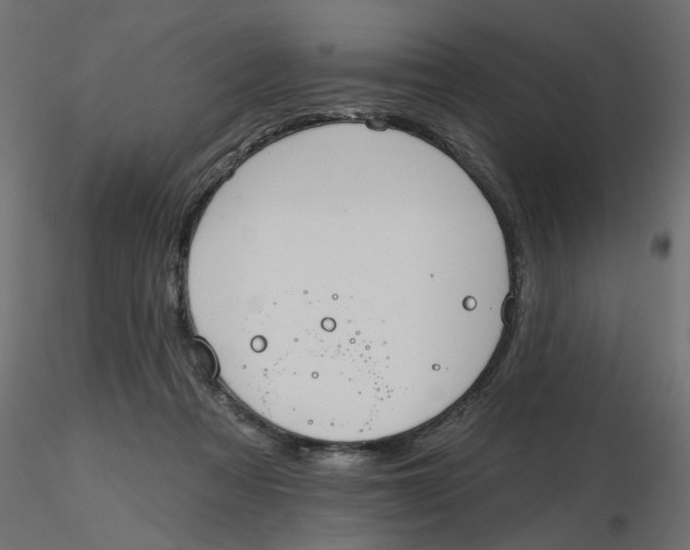 X0000116550313200912311917