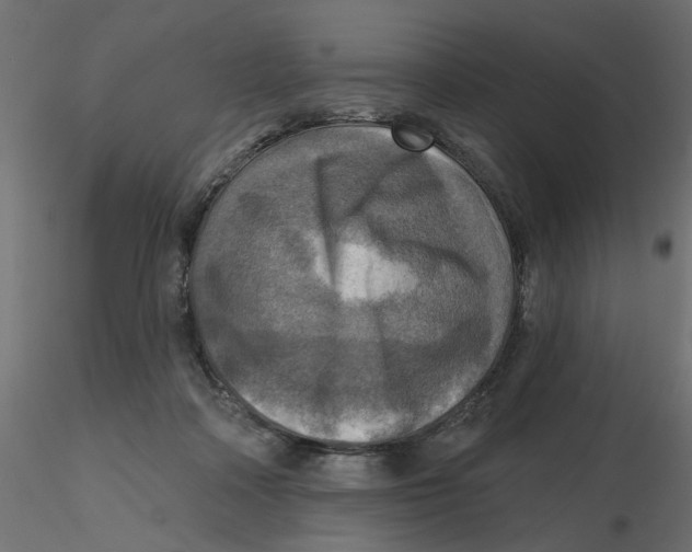 X0000116550314200912311917