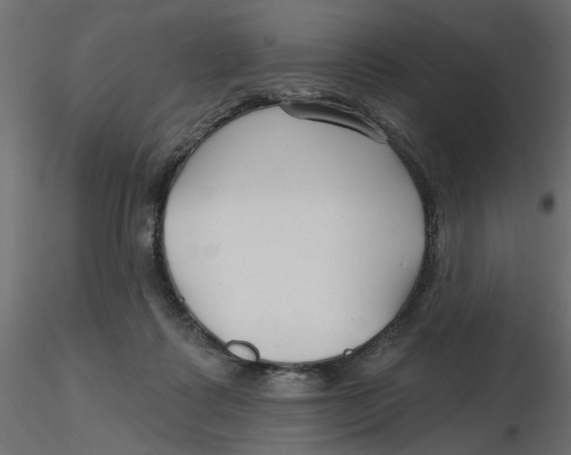 X0000116550315200912311917