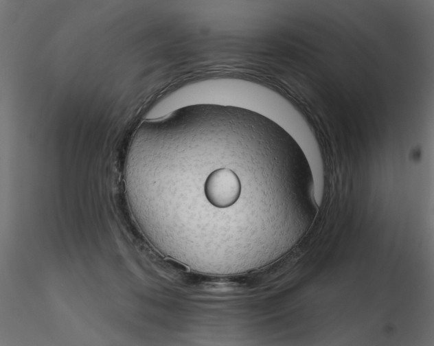 X0000116550316200912311917