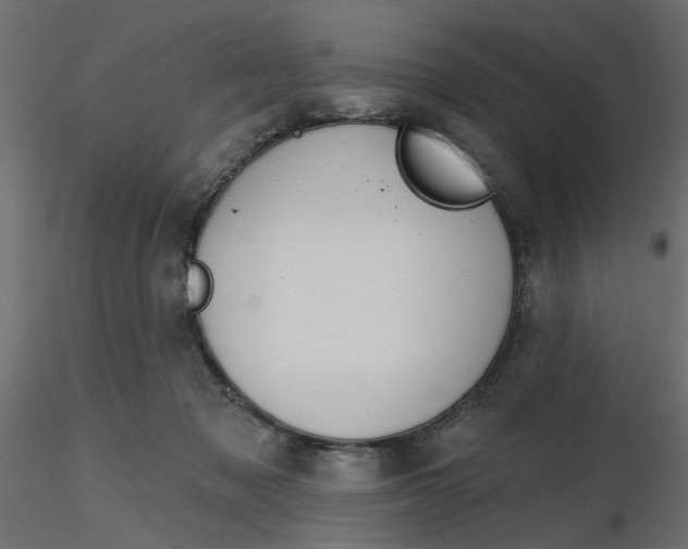 X0000116550317200912311917