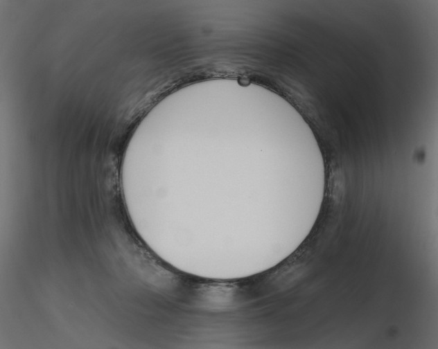 X0000116550318200912311917