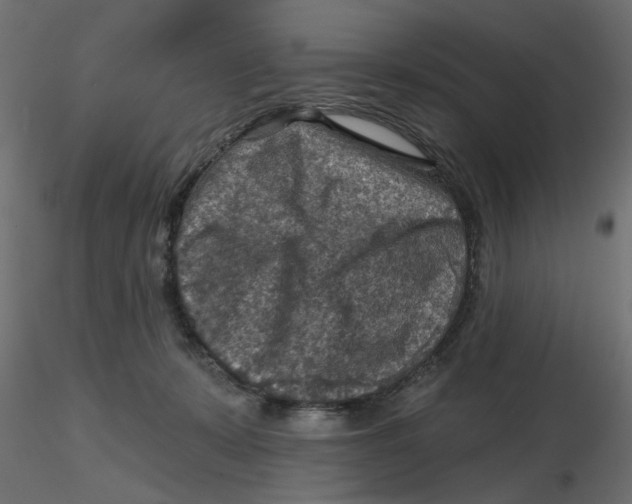 X0000116550319200912311917