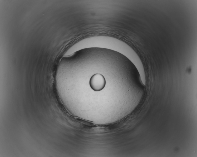 X0000116550320200912311917