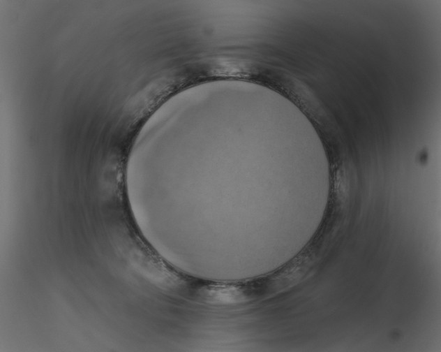 X0000116550322200912311917