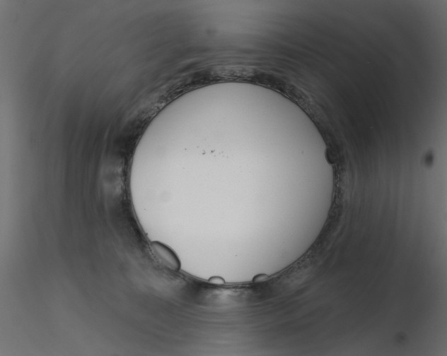 X0000116550323200912311917