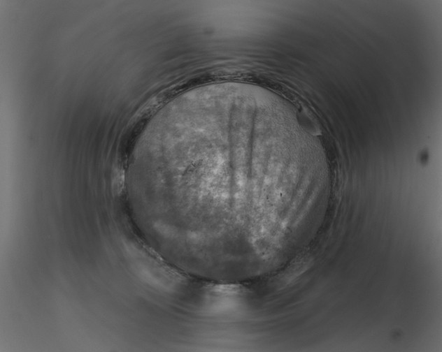 X0000116550324200912311917