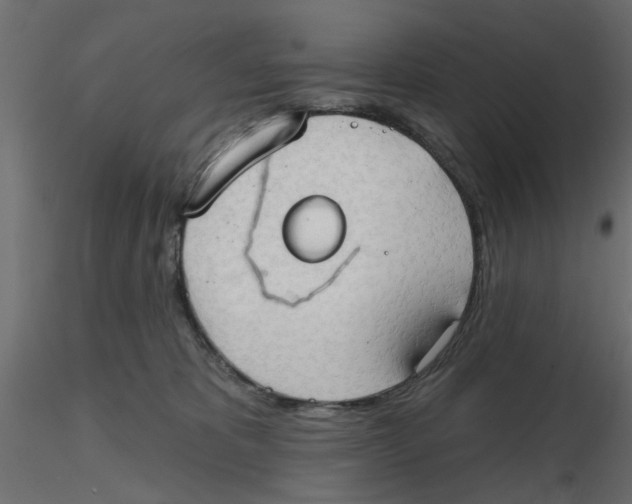 X0000116550325200912311917