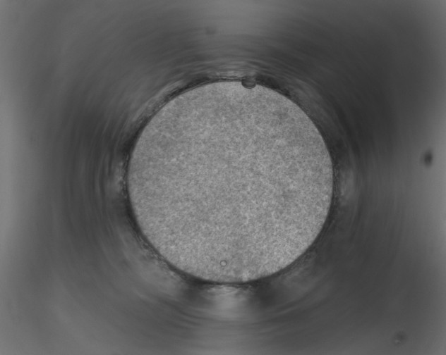 X0000116550326200912311917