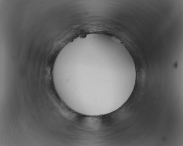 X0000116550327200912311917