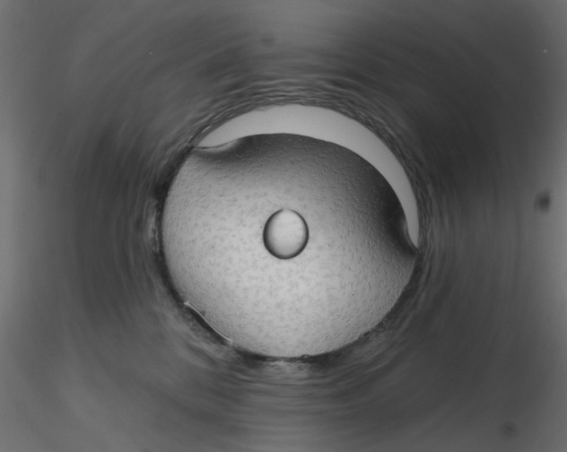 X0000116550328200912311917