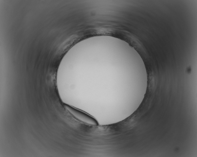 X0000116550329200912311917