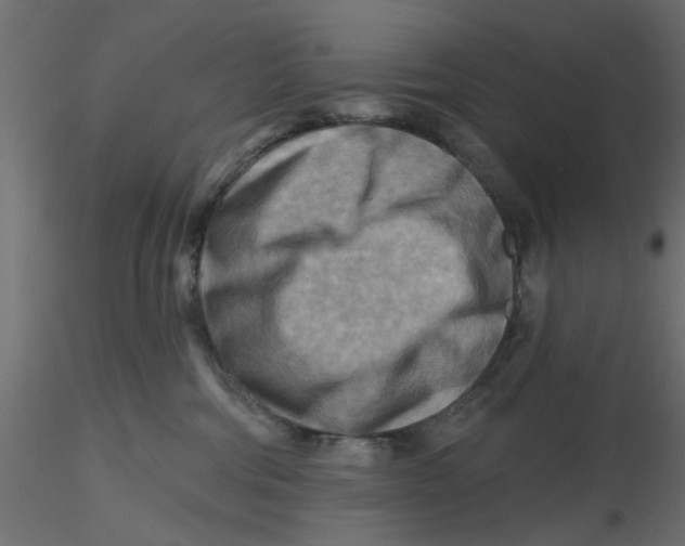 X0000116550330200912311917