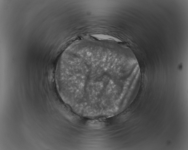 X0000116550331200912311917