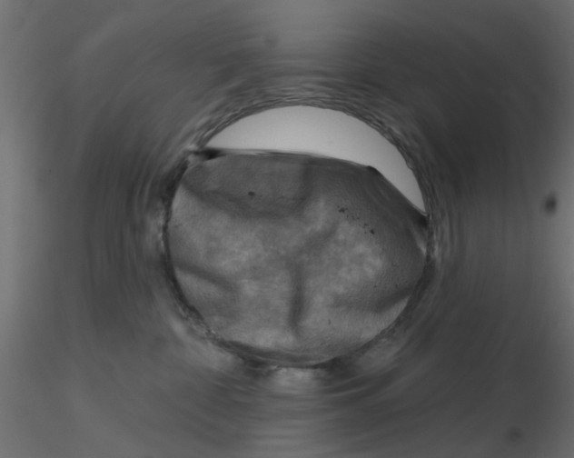 X0000116550332200912311917