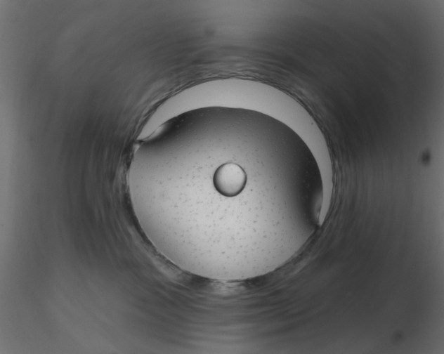 X0000116550333200912311917