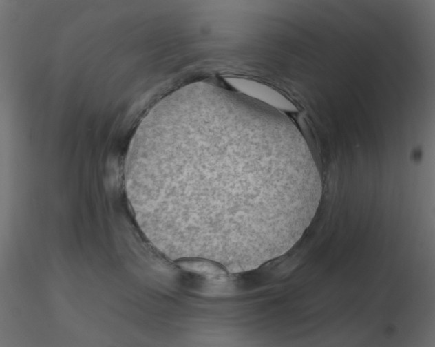 X0000116550335200912311917