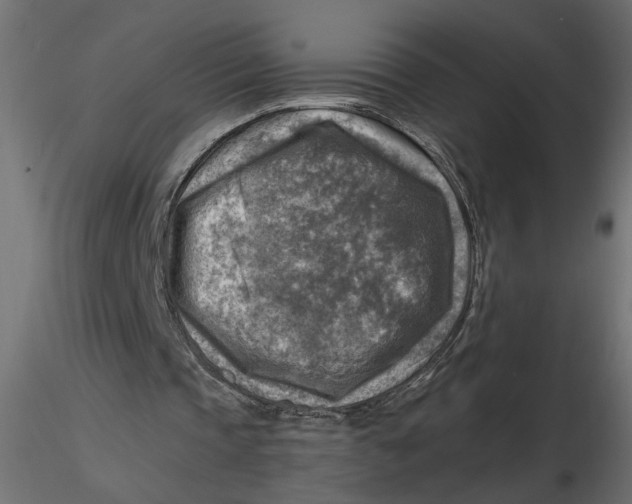 X0000116550337200912311916