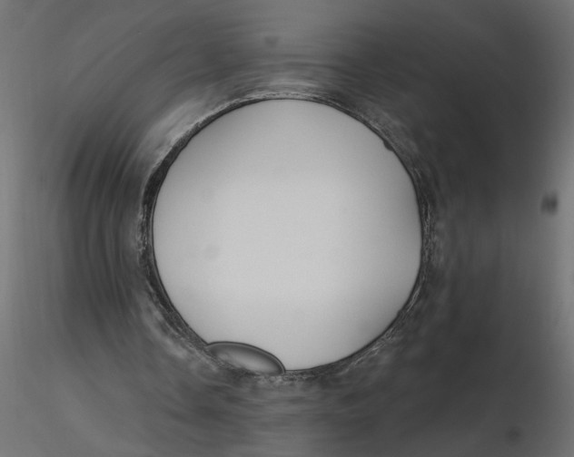 X0000116550338200912311916