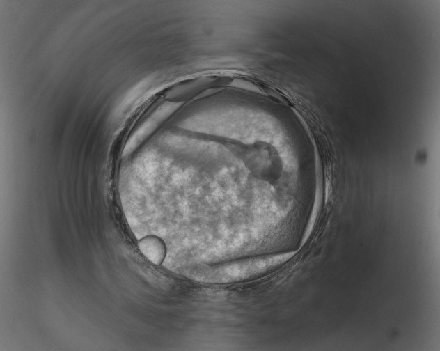 X0000116550339200912311916