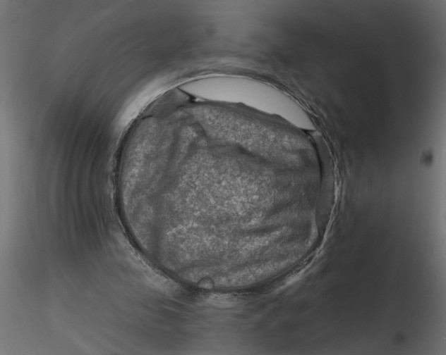 X0000116550341200912311916