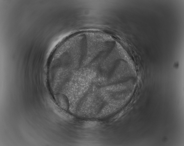 X0000116550342200912311916