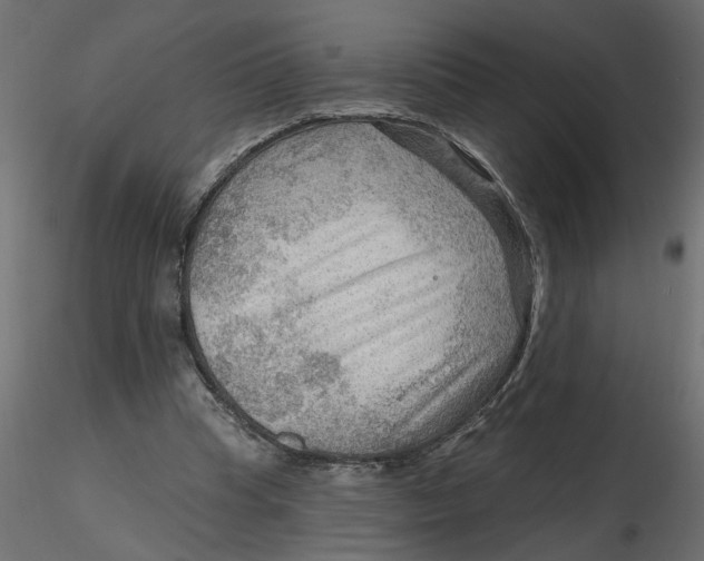 X0000116550345200912311916