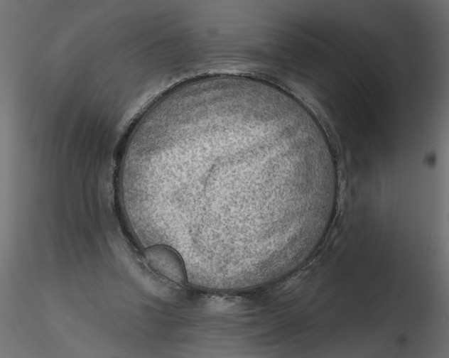 X0000116550346200912311916