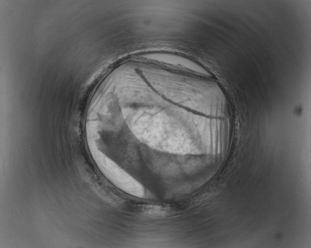 X0000116550347200912311916