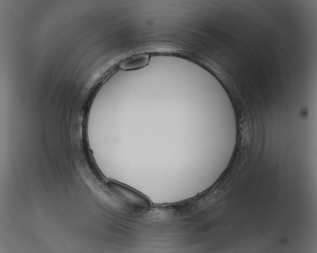 X0000116550350200912311916