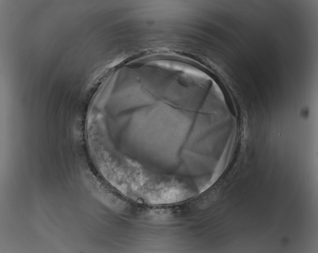 X0000116550353200912311916