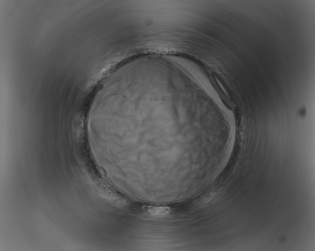 X0000116550355200912311916