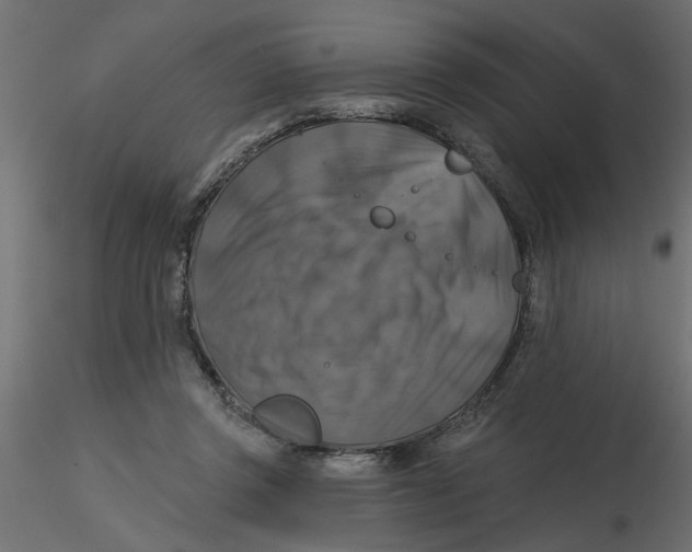 X0000116550357200912311916