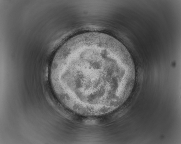 X0000116550358200912311916