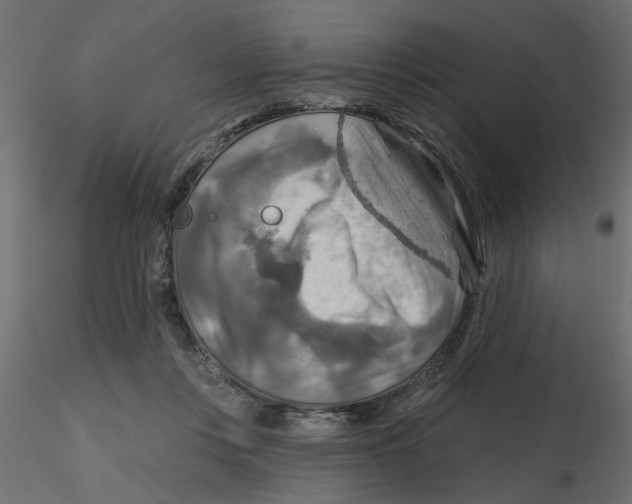 X0000116550359200912311916