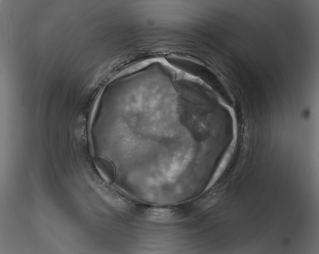 X0000116550361200912311916