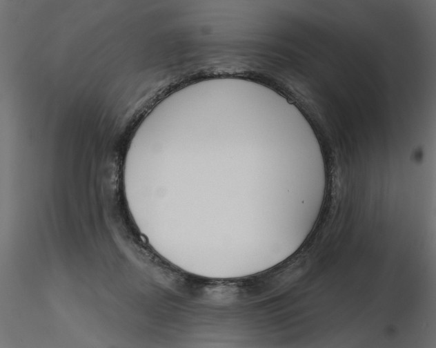 X0000116550362200912311916