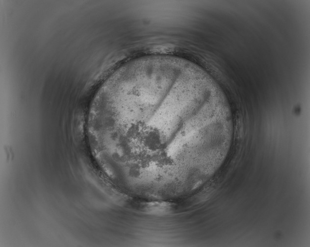 X0000116550363200912311916