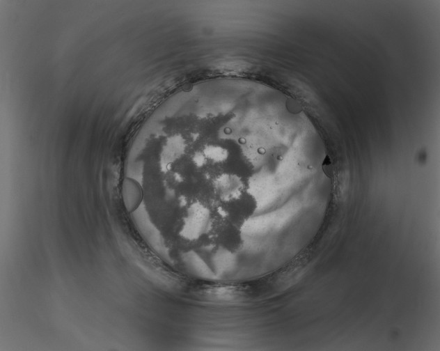 X0000116550365200912311916