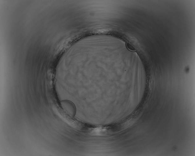 X0000116550366200912311916