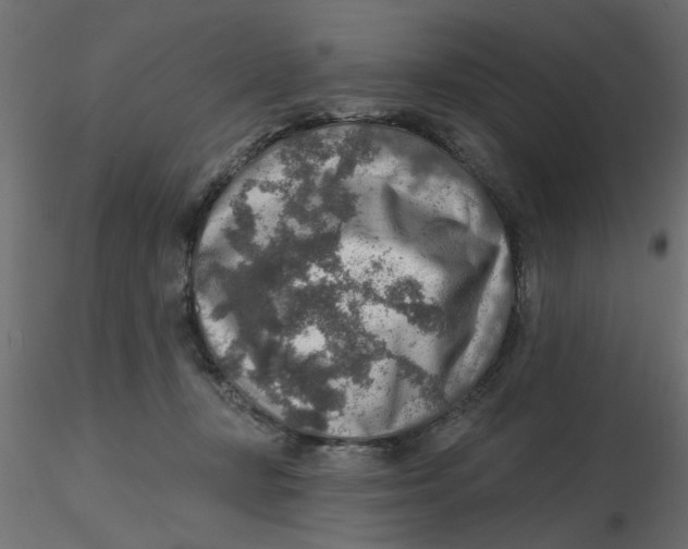 X0000116550367200912311916