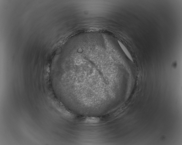 X0000116550369200912311916